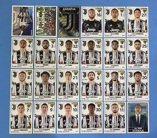 Figurine calciatori panini - figurine,